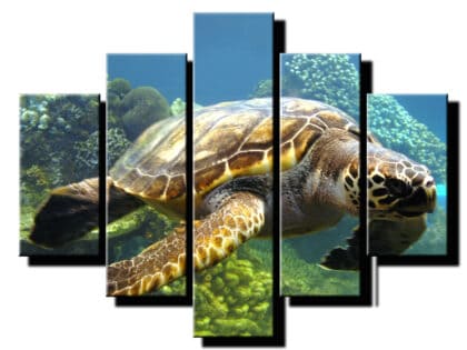 5 dielny obraz korytnacka 2-Viac dielny obraz-moderne obrazy na stenu