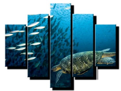 5 dielny obraz korytnacka v mori-Viac dielny obraz-moderne obrazy na stenu
