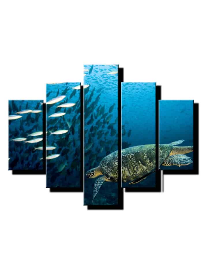 5 dielny obraz korytnacka v mori-Viac dielny obraz-moderne obrazy na stenu