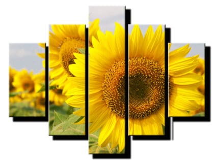 5 dielny obraz krajina so slnecnicou-Viac dielny obraz-moderne obrazy na stenu
