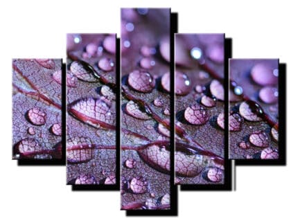 5 dielny obraz kvapky na liste-viac dielny obraz-moderne obrazy na stenu