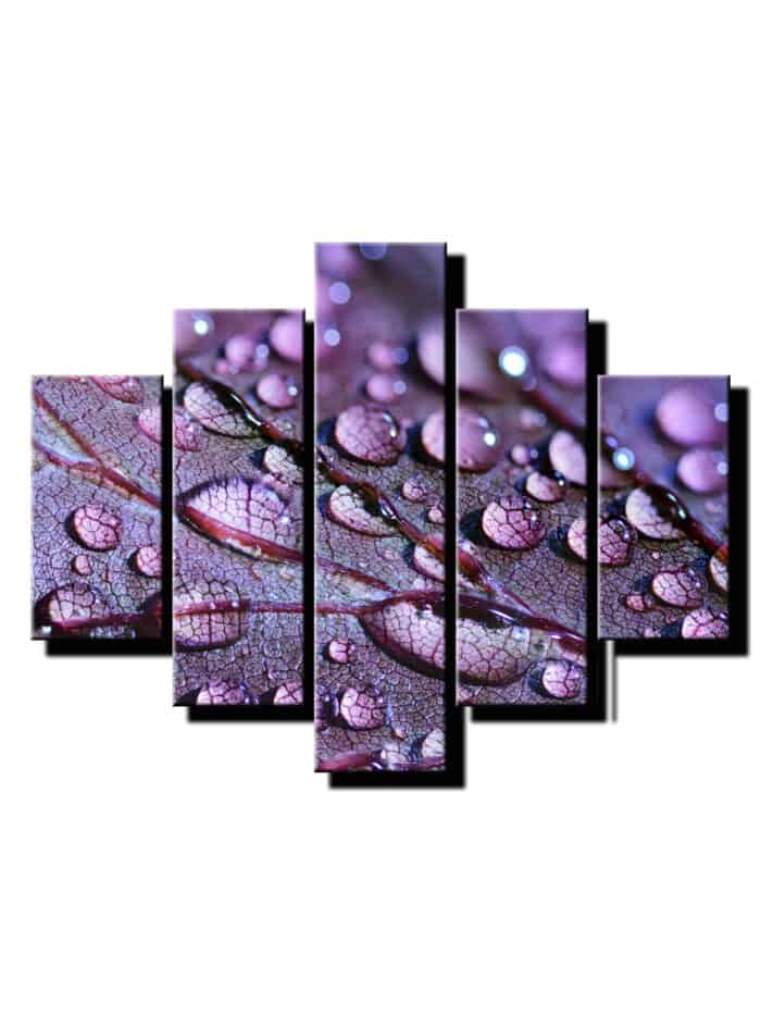 5 dielny obraz kvapky na liste-viac dielny obraz-moderne obrazy na stenu