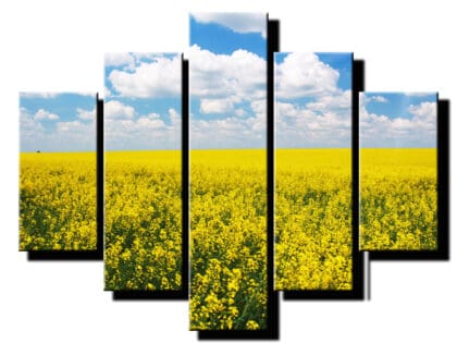 5 dielny obraz kvitnuca repka olejna-Viac dielny obraz-moderne obrazy na stenu
