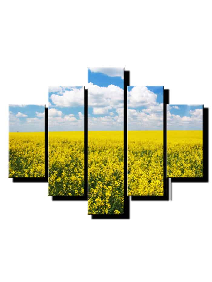 5 dielny obraz kvitnuca repka olejna-Viac dielny obraz-moderne obrazy na stenu