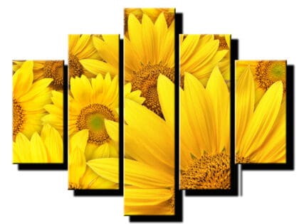 5 dielny obraz kvitnuca slnecnica-Viac dielny obraz-moderne obrazy na stenu