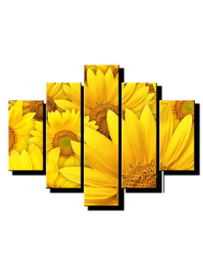 5 dielny obraz kvitnuca slnecnica-Viac dielny obraz-moderne obrazy na stenu