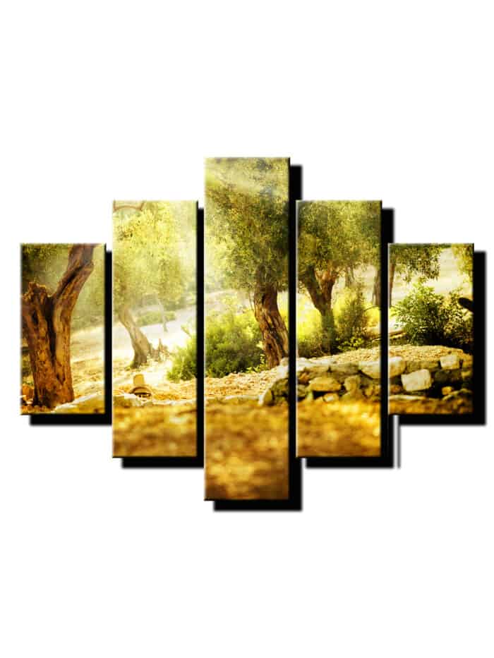 5 dielny obraz lesná záhrada-Viac dielny obraz-moderne obrazy na stenu