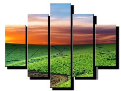 5 dielny obraz luka detail-Viac dielny obraz-moderne obrazy na stenu