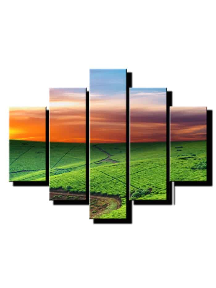 5 dielny obraz luka detail-Viac dielny obraz-moderne obrazy na stenu