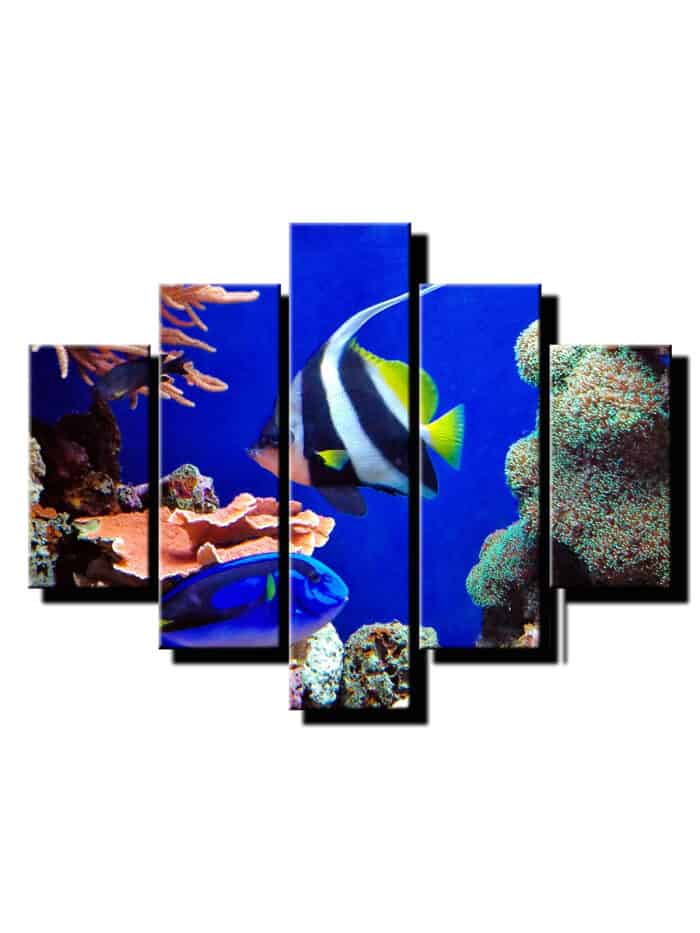 5 dielny obraz morsky svet-Viac dielny obraz-moderne obrazy na stenu