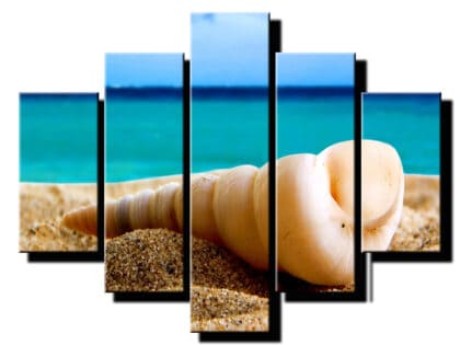 5 dielny obraz musla na piesku-Viac dielny obraz-moderne obrazy na stenu