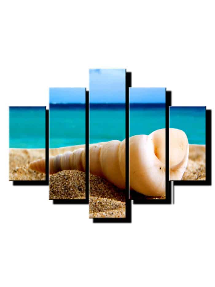 5 dielny obraz musla na piesku-Viac dielny obraz-moderne obrazy na stenu