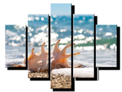 5 dielny obraz musla na plazi-Viac dielny obraz-moderne obrazy na stenu