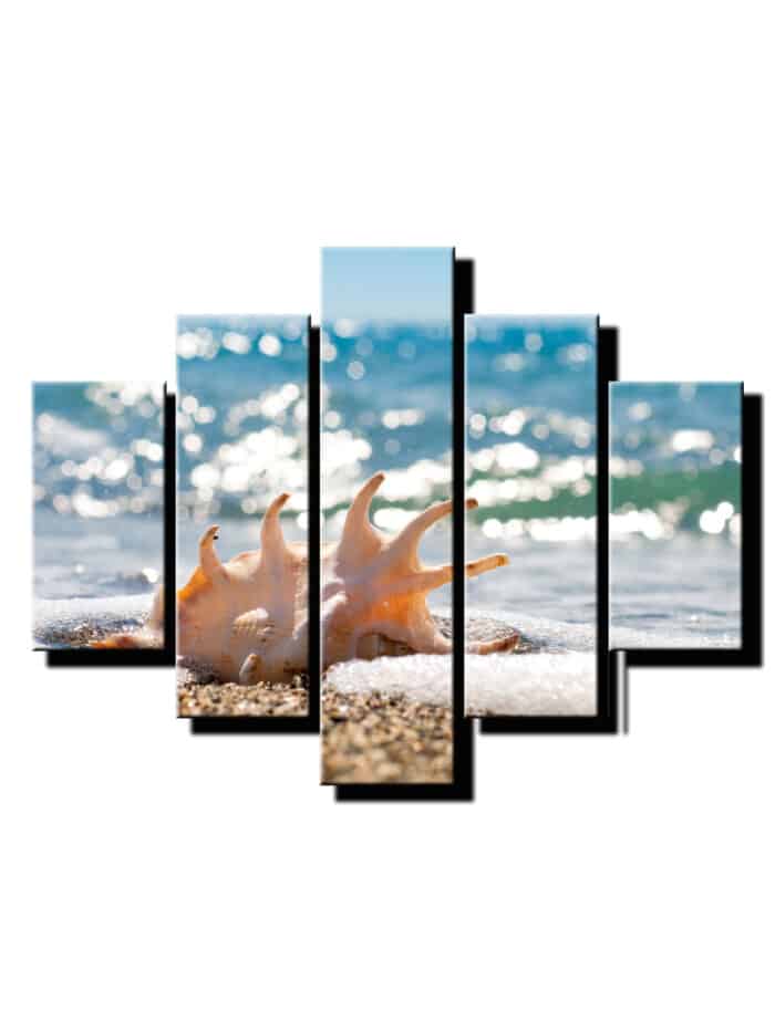 5 dielny obraz musla na plazi-Viac dielny obraz-moderne obrazy na stenu
