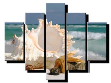 5 dielny obraz musla s hviezdicou-Viac dielny obraz-moderne obrazy na stenu