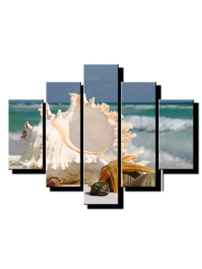 5 dielny obraz musla s hviezdicou-Viac dielny obraz-moderne obrazy na stenu