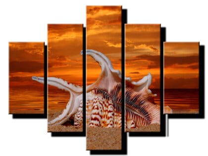 5 dielny obraz mušľa v piesku-Viac dielny obraz-moderne obrazy na stenu