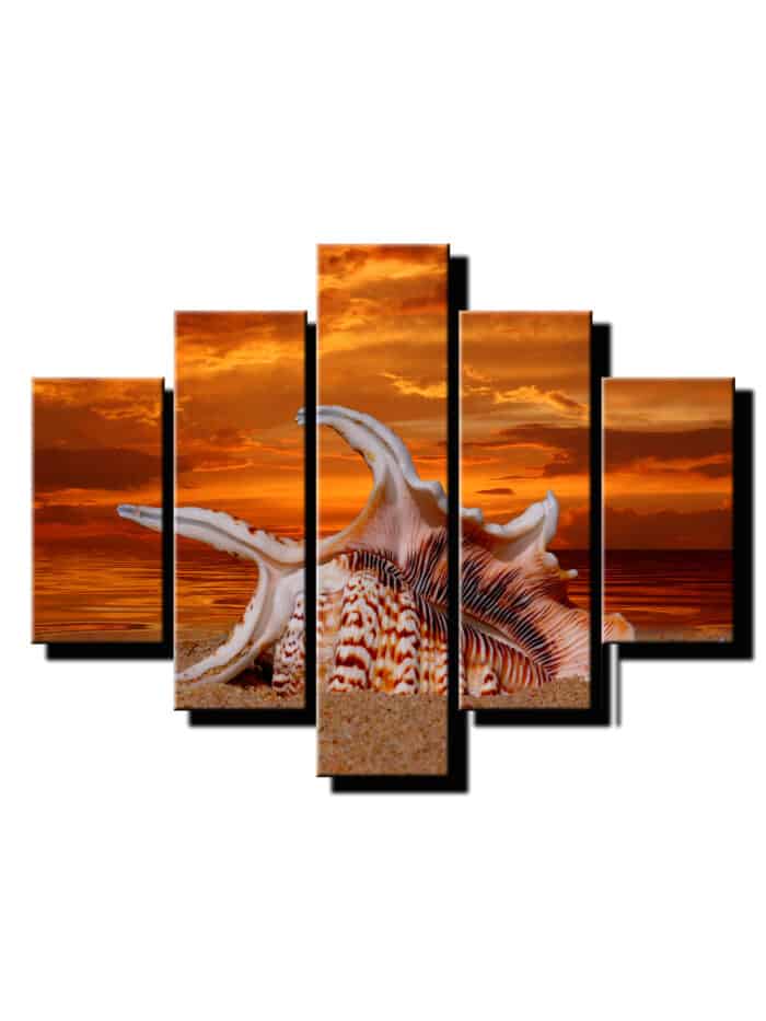 5 dielny obraz mušľa v piesku-Viac dielny obraz-moderne obrazy na stenu