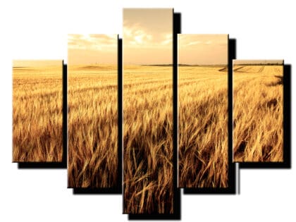 5 dielny obraz na stenu obilie-Viac dielny obraz-moderne obrazy na stenu