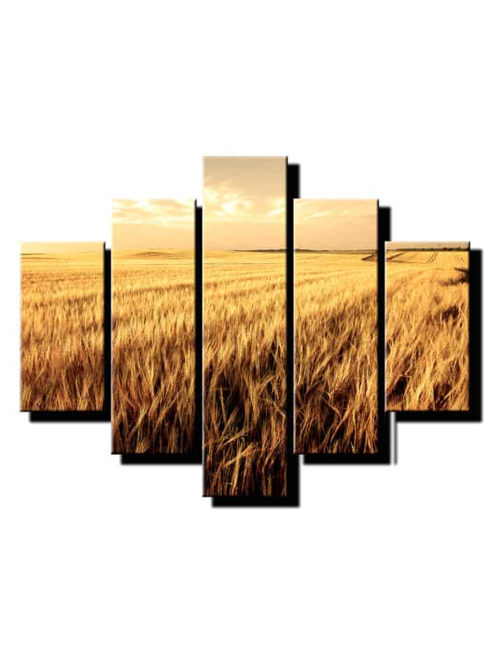 5 dielny obraz na stenu obilie-Viac dielny obraz-moderne obrazy na stenu