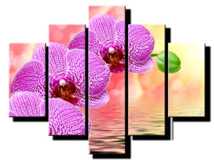 5 dielny obraz orchidea na vode-Viac dielny obraz-Moderne obrazy na stenu-Obraz na stenu