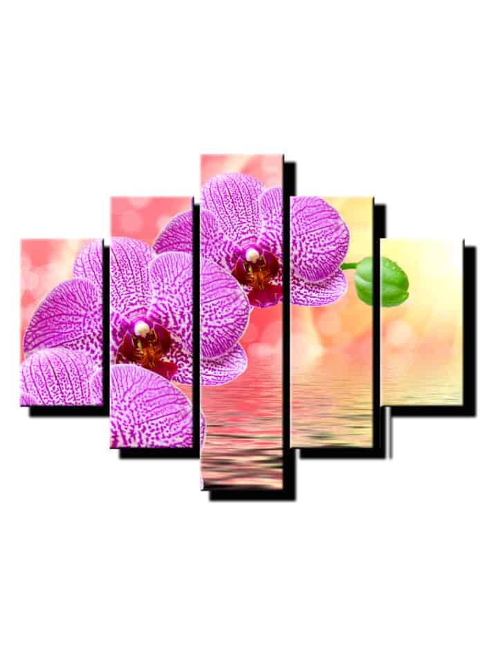 5 dielny obraz orchidea na vode-Viac dielny obraz-Moderne obrazy na stenu-Obraz na stenu