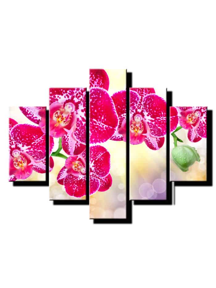 5 dielny obraz orchidea s cervenym kvetom-Viac dielny obraz-Moderne obrazy na stenu-Obraz na stenu