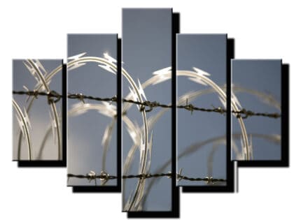 5 dielny obraz ostnaty drot detail-Viac dielny obraz-moderne obrazy na stenu