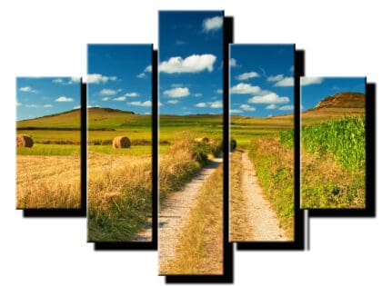 5 dielny obraz polna cesta-Viac dielny obraz-moderne obrazy na stenu