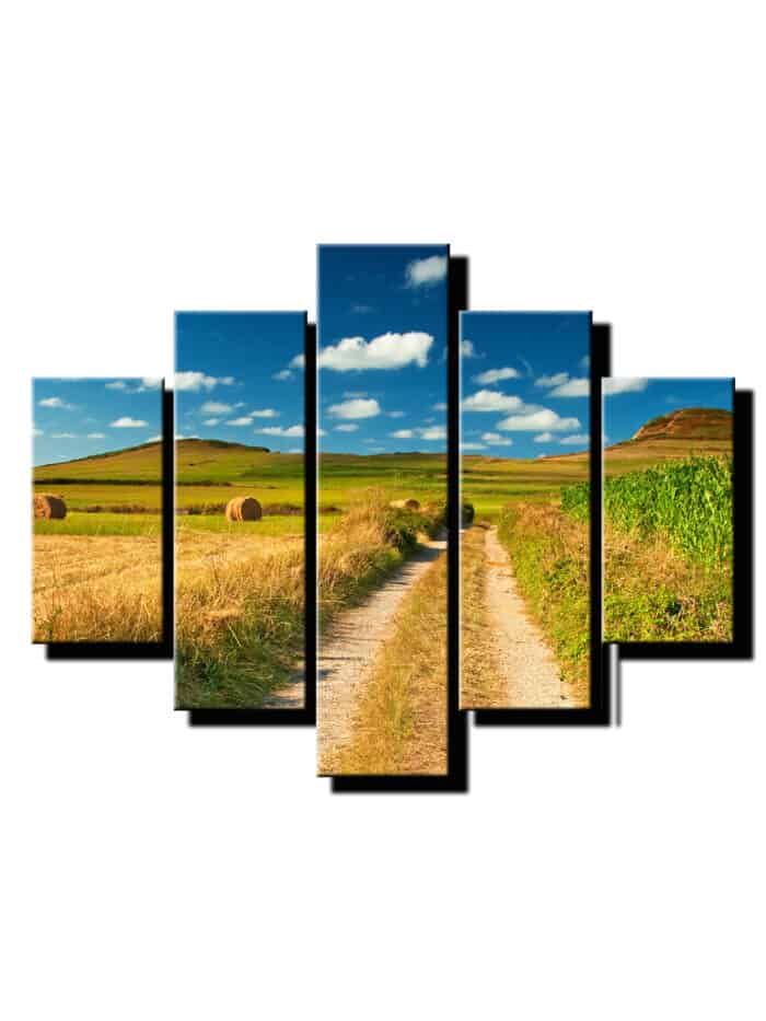 5 dielny obraz polna cesta-Viac dielny obraz-moderne obrazy na stenu