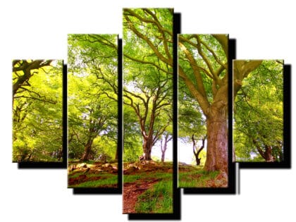 5 dielny obraz priroda-Viac dielny obraz-moderne obrazy na stenu