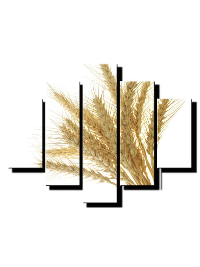 5 dielny obraz psenica-Viac dielny obraz-moderne obrazy na stenu