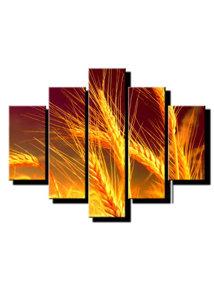 5 dielny obraz psenica letna-Viac dielny obraz-moderne obrazy na stenu