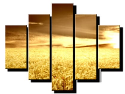 5 dielny obraz psenica na poli-Viac dielny obraz-moderne obrazy na stenu