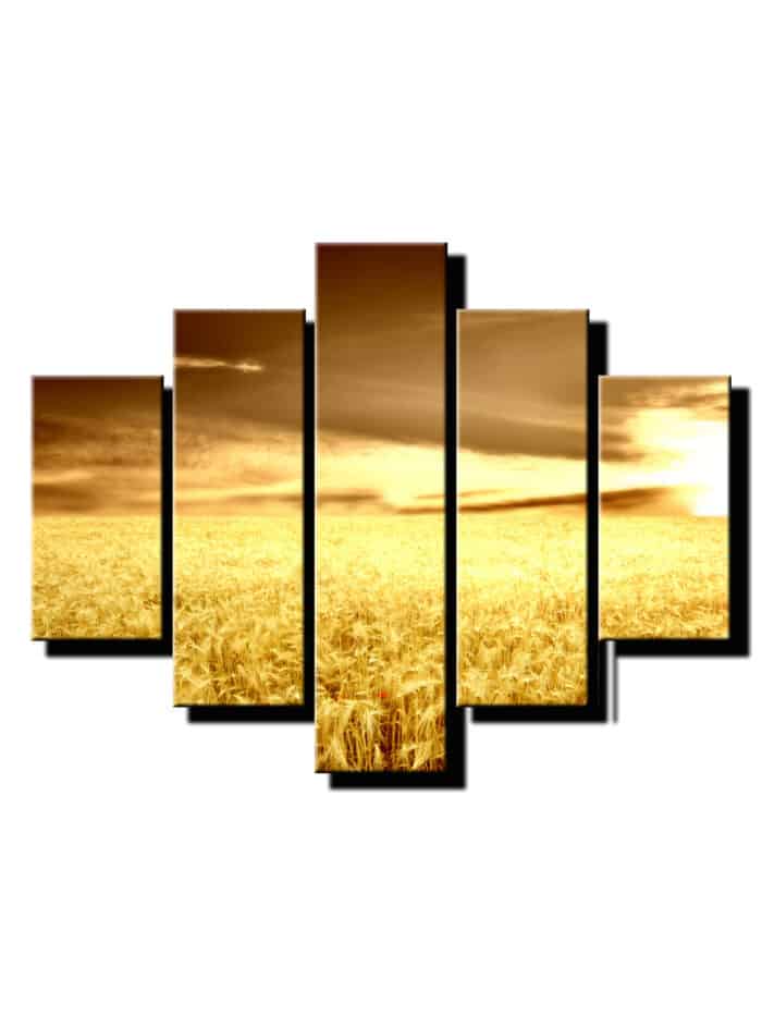5 dielny obraz psenica na poli-Viac dielny obraz-moderne obrazy na stenu