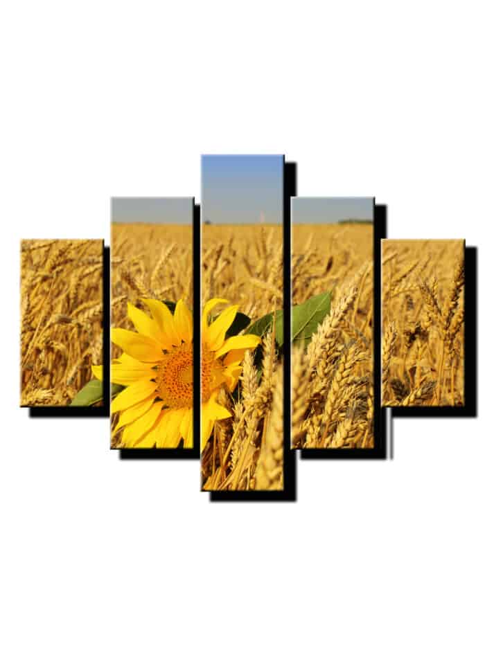 5 dielny obraz psenica so slnecnocou-Viac dielny obraz-moderne obrazy na stenu