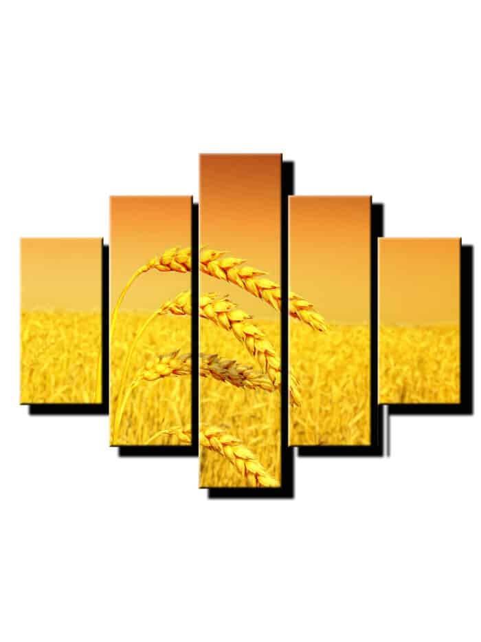 5 dielny obraz psenica zlata-Viac dielny obraz-moderne obrazy na stenu