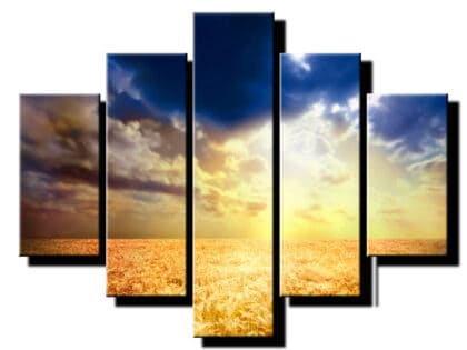 5 dielny obraz psenicne pole-Viac dielny obraz-moderne obrazy na stenu