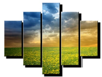 5 dielny obraz púpavové pole -Viac dielny obraz-moderne obrazy na stenu