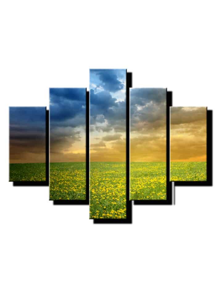 5 dielny obraz púpavové pole -Viac dielny obraz-moderne obrazy na stenu