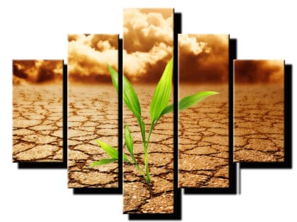 5 dielny obraz púštny kvet-Viac dielny obraz-moderne obrazy na stenu