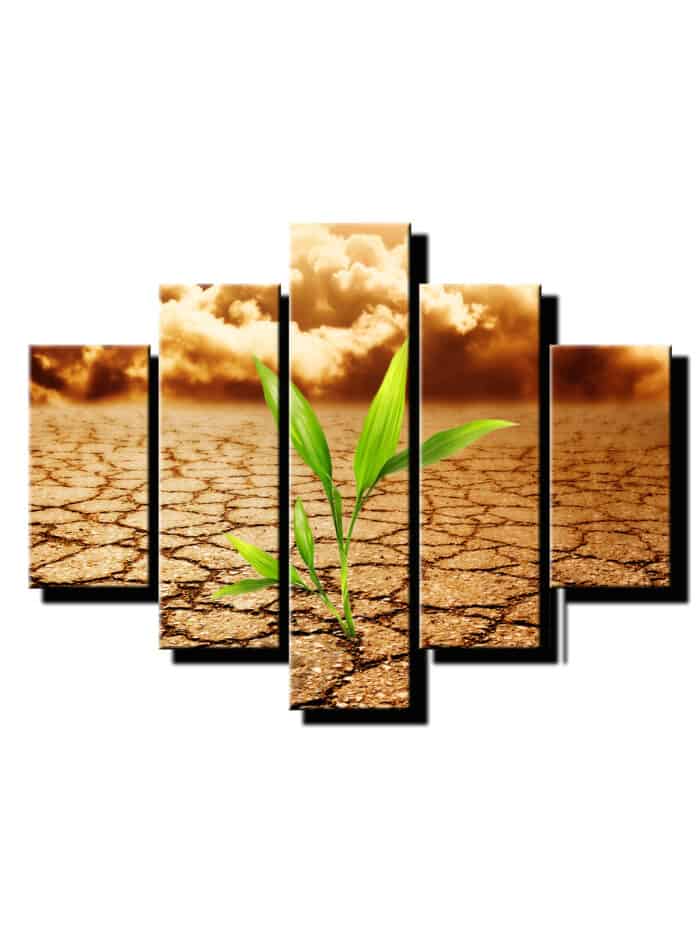5 dielny obraz púštny kvet-Viac dielny obraz-moderne obrazy na stenu