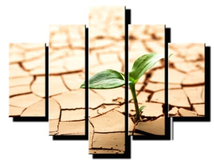 5 dielny obraz rastlina na súši-Viac dielny obraz-moderne obrazy na stenu