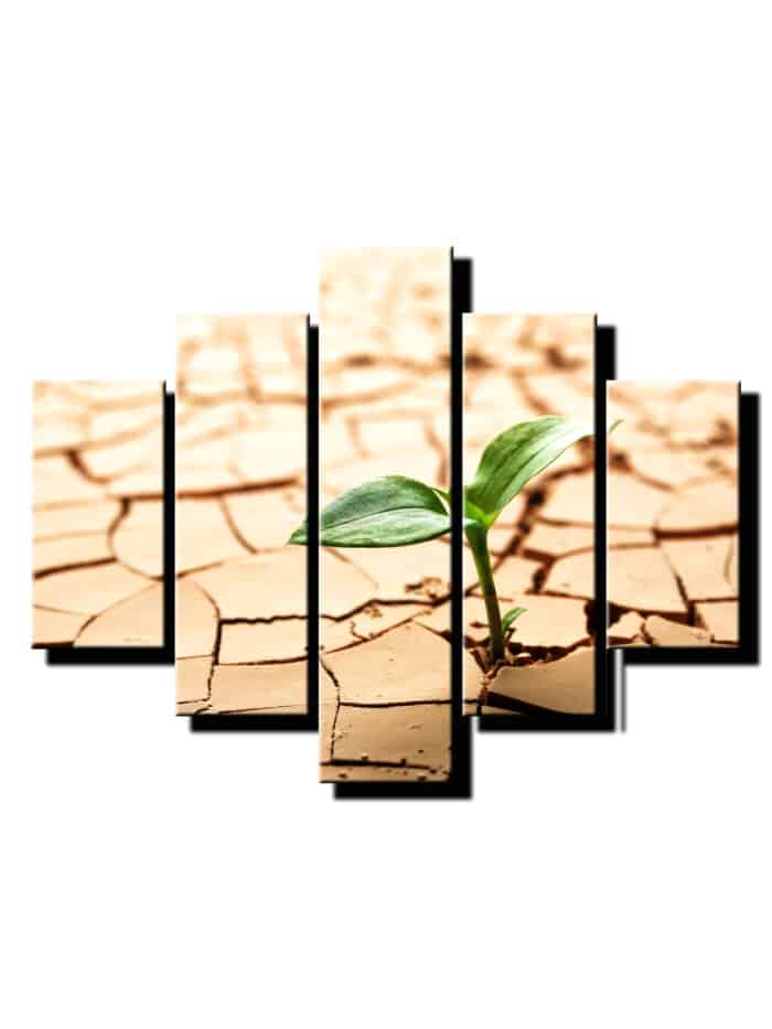 5 dielny obraz rastlina na súši-Viac dielny obraz-moderne obrazy na stenu