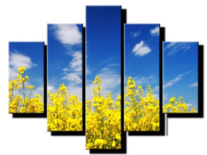 5 dielny obraz repka olejna-Viac dielny obraz-moderne obrazy na stenu