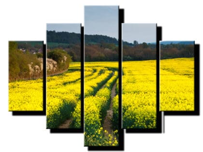 5 dielny obraz repka olejna a skladovanie-Viac dielny obraz-moderne obrazy na stenu
