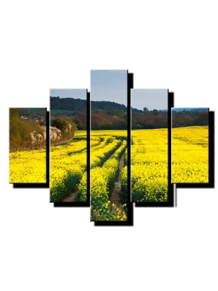 5 dielny obraz repka olejna a skladovanie-Viac dielny obraz-moderne obrazy na stenu