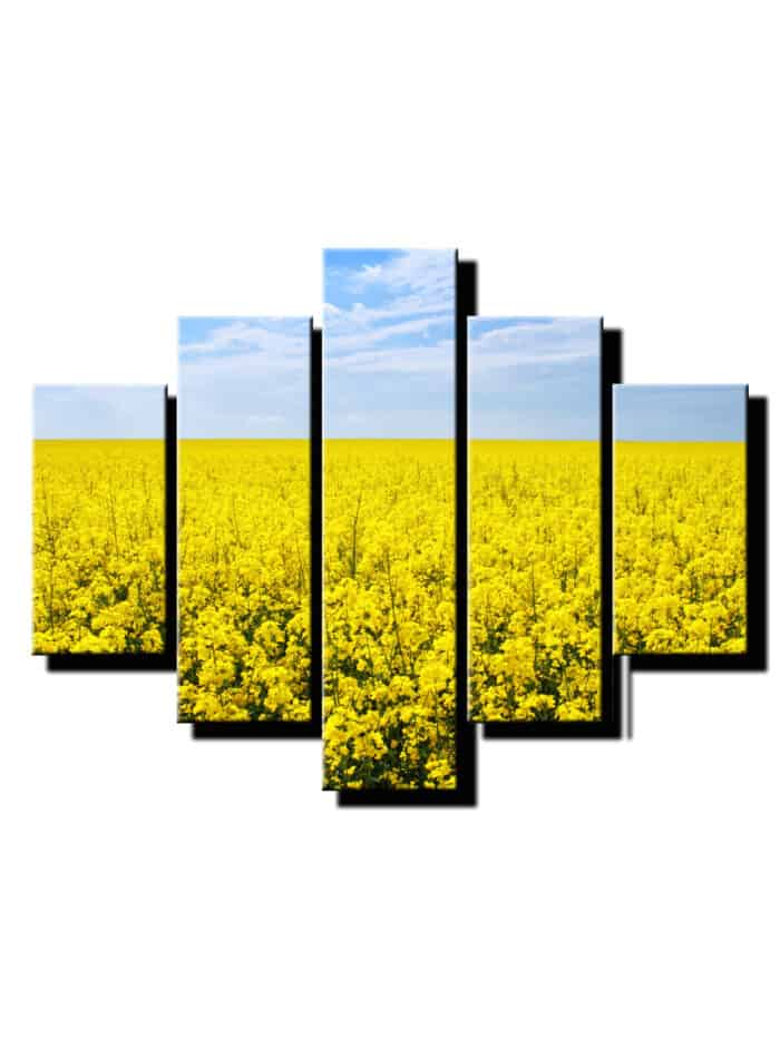 5 dielny obraz repka olejna pole-Viac dielny obraz-moderne obrazy na stenu