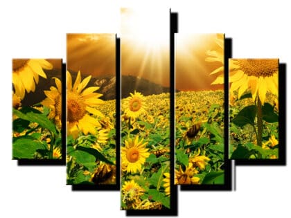 5 dielny obraz rozkvitnute slnecnice-Viac dielny obraz-moderne obrazy na stenu