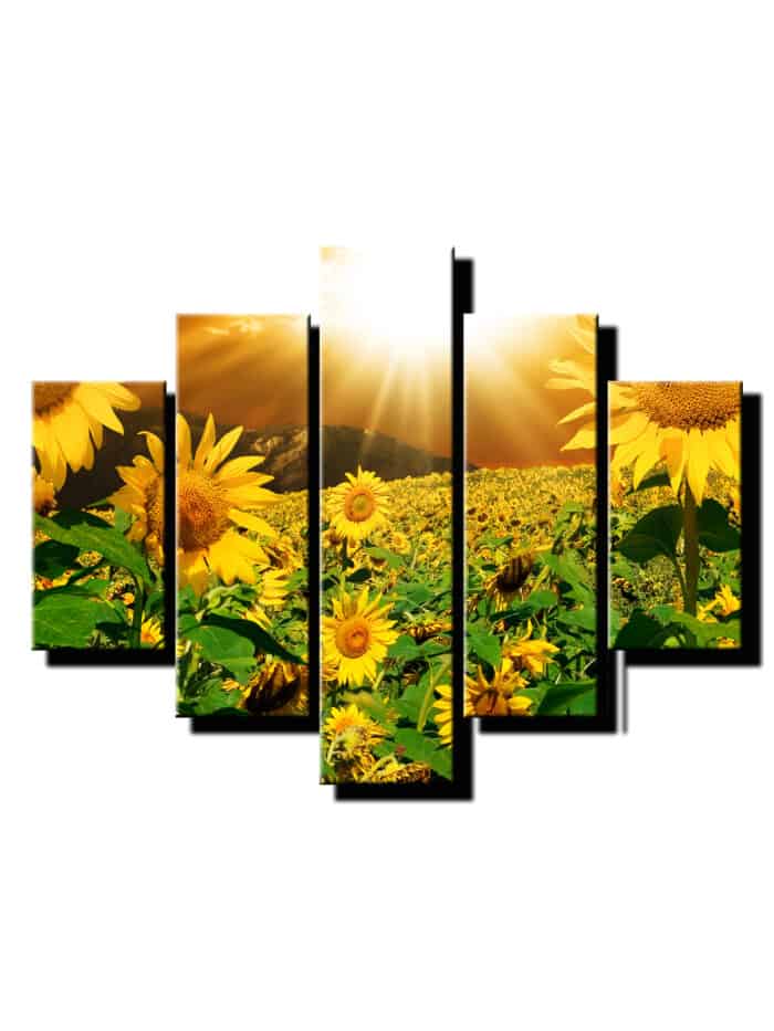 5 dielny obraz rozkvitnute slnecnice-Viac dielny obraz-moderne obrazy na stenu